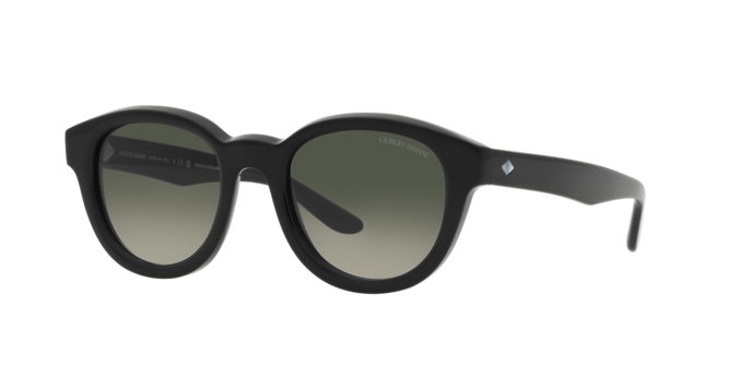 Giorgio Armani Sunglasses AR8181 587571