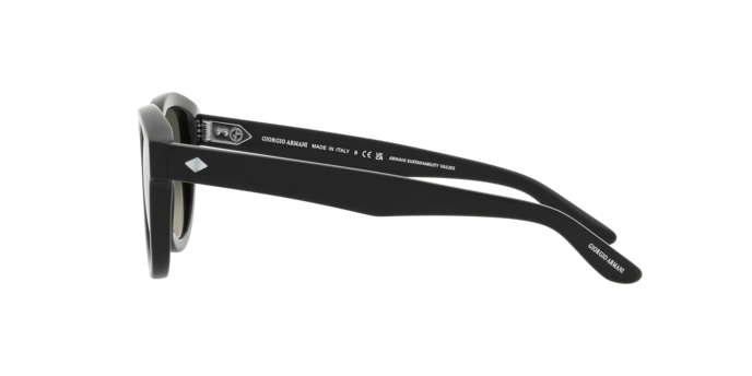 Giorgio Armani Sunglasses AR8181 587571