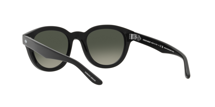 Giorgio Armani Sunglasses AR8181 587571