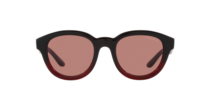 Giorgio Armani Sunglasses AR8181 599730