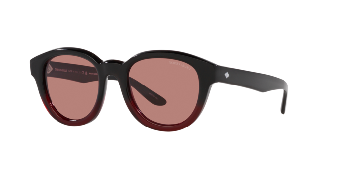 Giorgio Armani Sunglasses AR8181 599730
