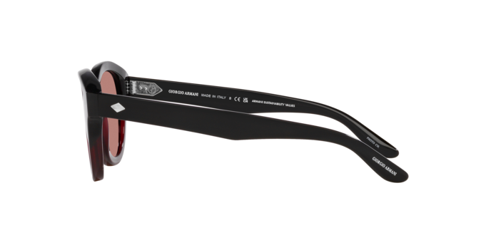 Giorgio Armani Sunglasses AR8181 599730