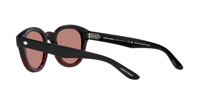 Giorgio Armani Sunglasses AR8181 599730