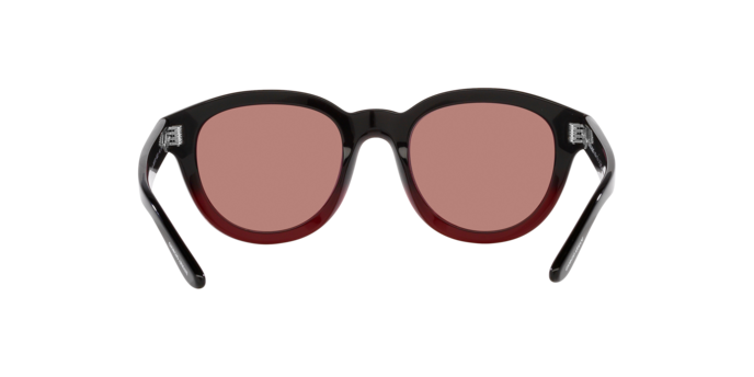 Giorgio Armani Sunglasses AR8181 599730