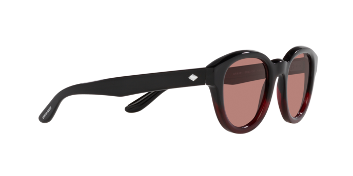Giorgio Armani Sunglasses AR8181 599730