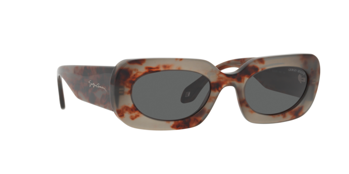 Giorgio Armani Sunglasses AR8182 5976B1