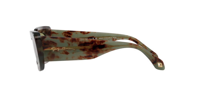 Giorgio Armani Sunglasses AR8182 597714
