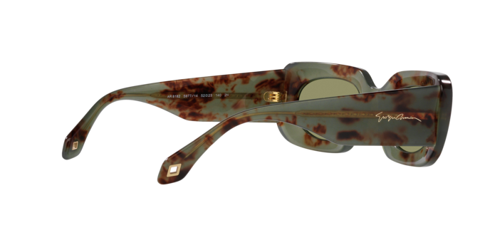 Giorgio Armani Sunglasses AR8182 597714