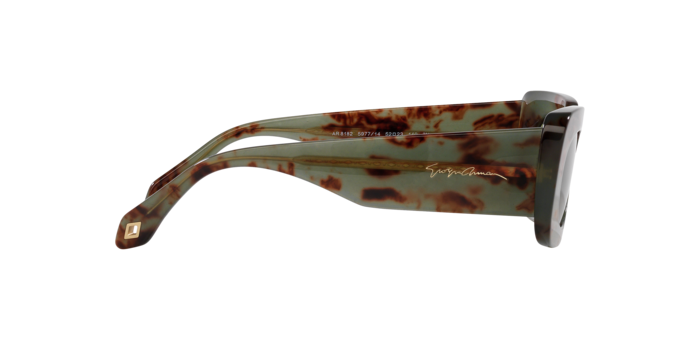 Giorgio Armani Sunglasses AR8182 597714