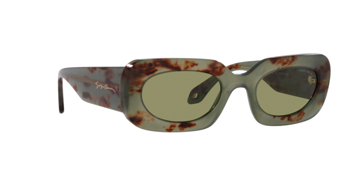 Giorgio Armani Sunglasses AR8182 597714