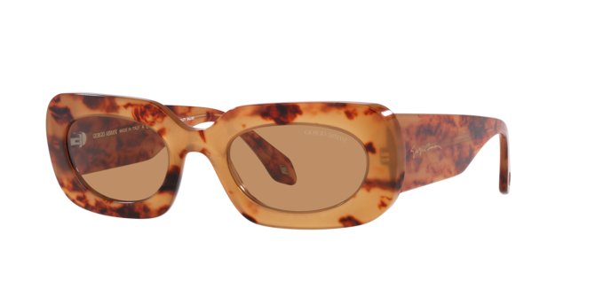 Giorgio Armani Sunglasses AR8182 597853