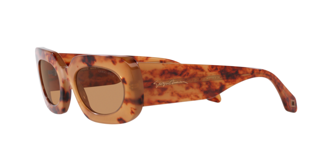 Giorgio Armani Sunglasses AR8182 597853