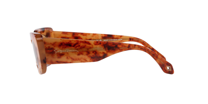 Giorgio Armani Sunglasses AR8182 597853