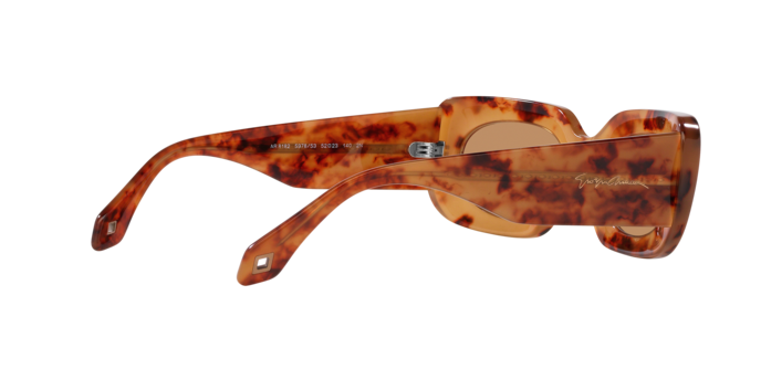 Giorgio Armani Sunglasses AR8182 597853