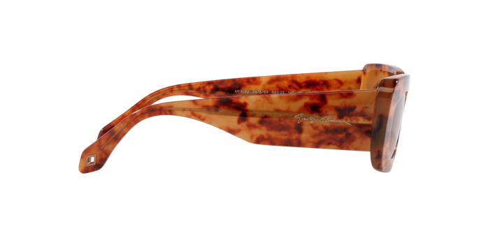 Giorgio Armani Sunglasses AR8182 597853