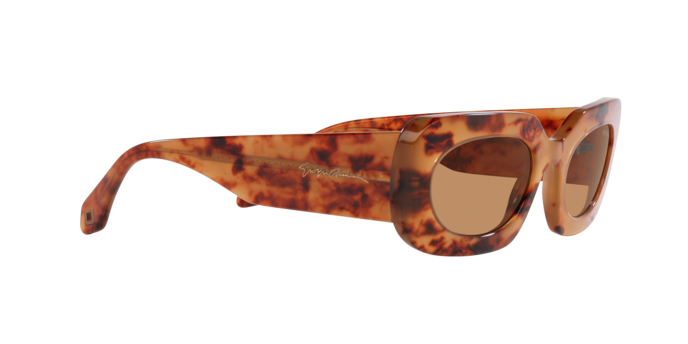 Giorgio Armani Sunglasses AR8182 597853