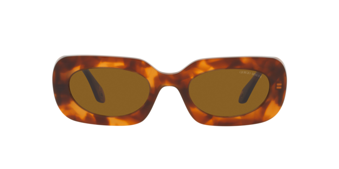 Giorgio Armani Sunglasses AR8182 598833