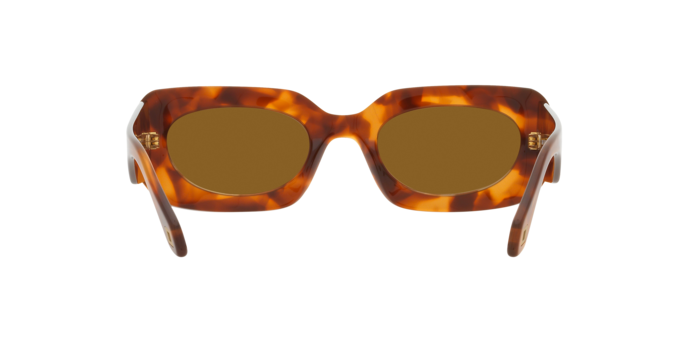 Giorgio Armani Sunglasses AR8182 598833