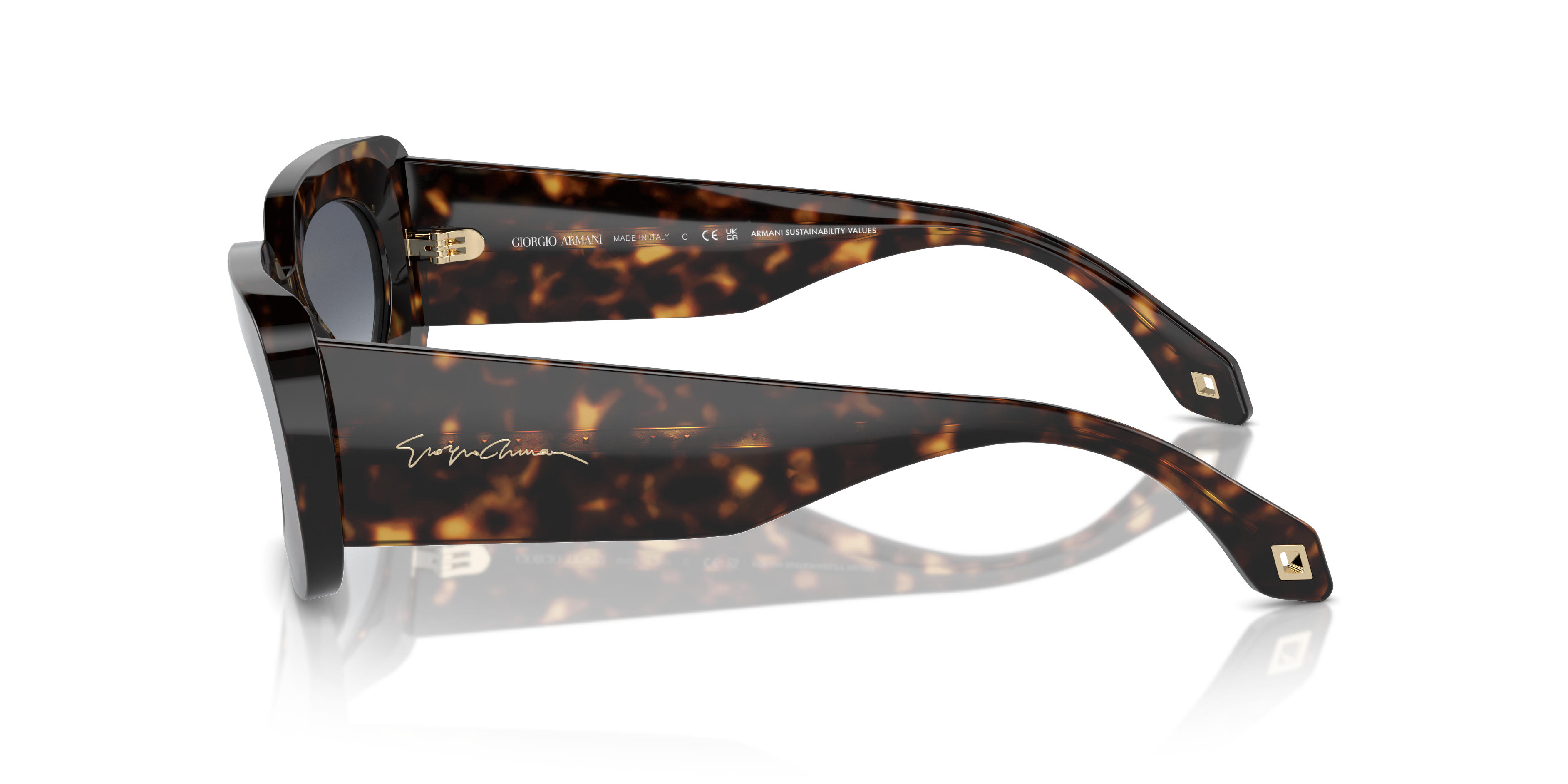 Giorgio Armani Sunglasses AR8182 612486