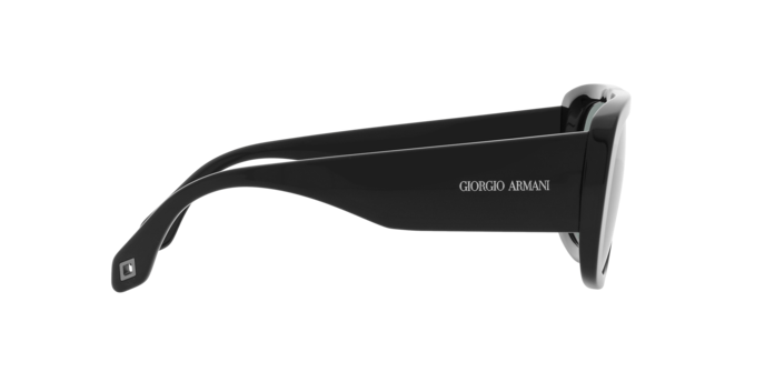 Giorgio Armani Sunglasses AR8183 587556