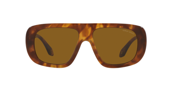 Giorgio Armani Sunglasses AR8183 598833