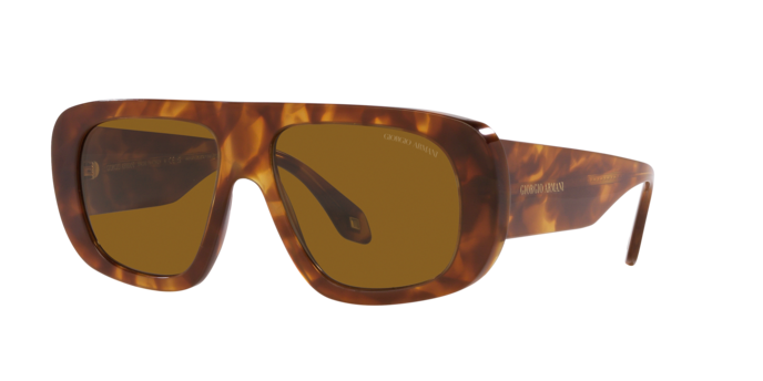 Giorgio Armani Sunglasses AR8183 598833