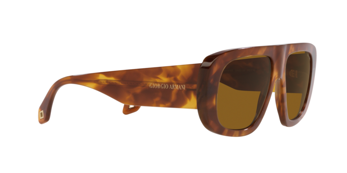 Giorgio Armani Sunglasses AR8183 598833