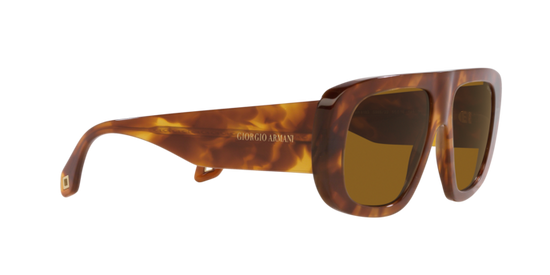 Giorgio Armani Sunglasses AR8183 598833