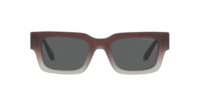 Giorgio Armani Sunglasses AR8184U 5980B1