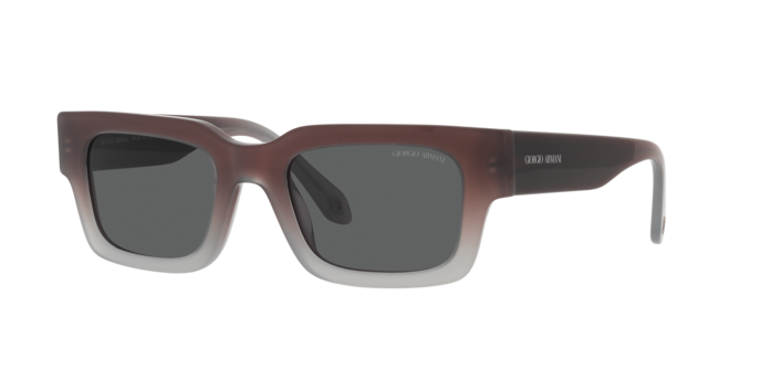 Giorgio Armani Sunglasses AR8184U 5980B1