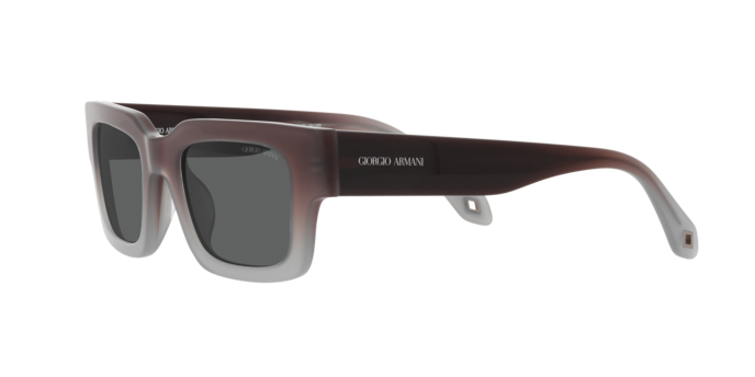 Giorgio Armani Sunglasses AR8184U 5980B1