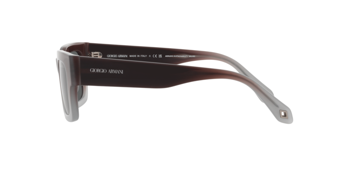 Giorgio Armani Sunglasses AR8184U 5980B1