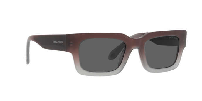 Giorgio Armani Sunglasses AR8184U 5980B1