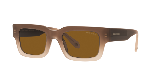 Giorgio Armani Sunglasses AR8184U 598133