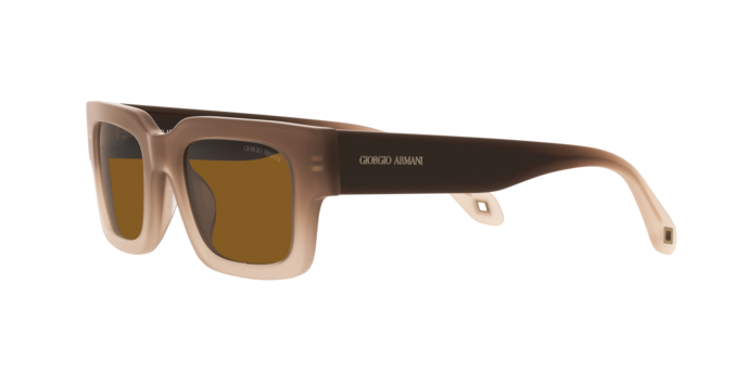 Giorgio Armani Sunglasses AR8184U 598133