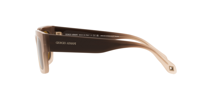 Giorgio Armani Sunglasses AR8184U 598133