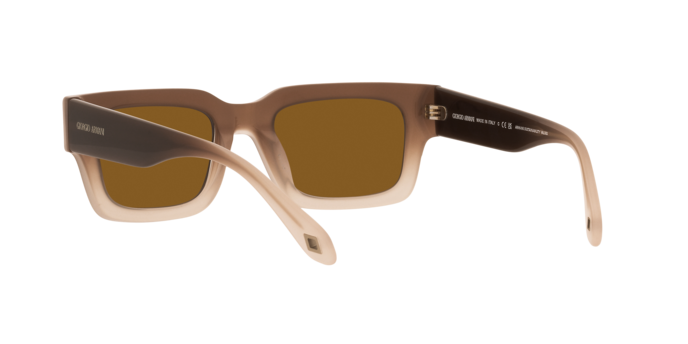 Giorgio Armani Sunglasses AR8184U 598133