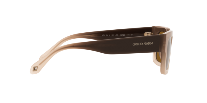 Giorgio Armani Sunglasses AR8184U 598133