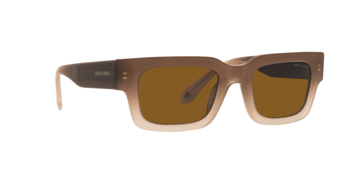 Giorgio Armani Sunglasses AR8184U 598133