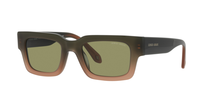 Giorgio Armani Sunglasses AR8184U 598214