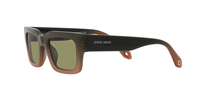 Giorgio Armani Sunglasses AR8184U 598214