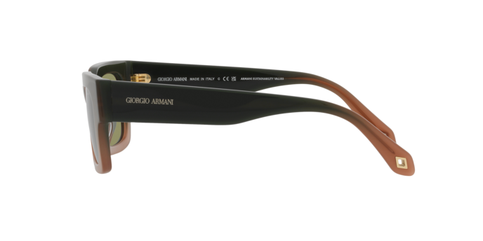 Giorgio Armani Sunglasses AR8184U 598214