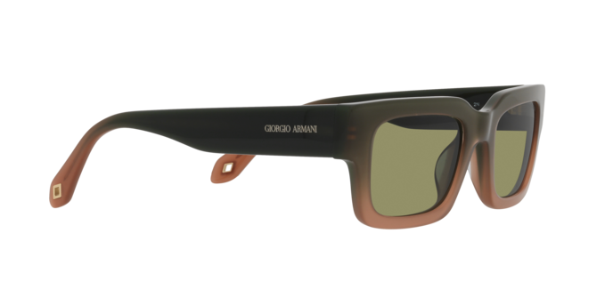 Giorgio Armani Sunglasses AR8184U 598214