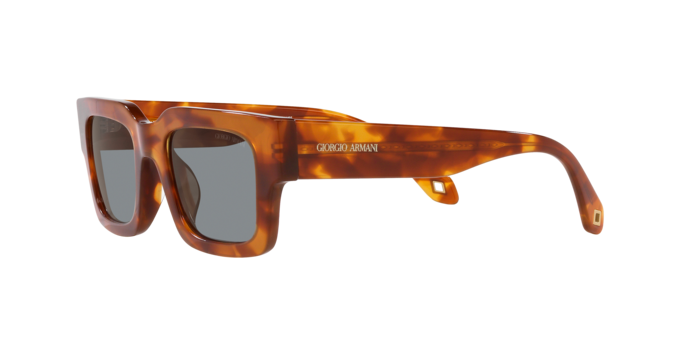 Giorgio Armani Sunglasses AR8184U 598802