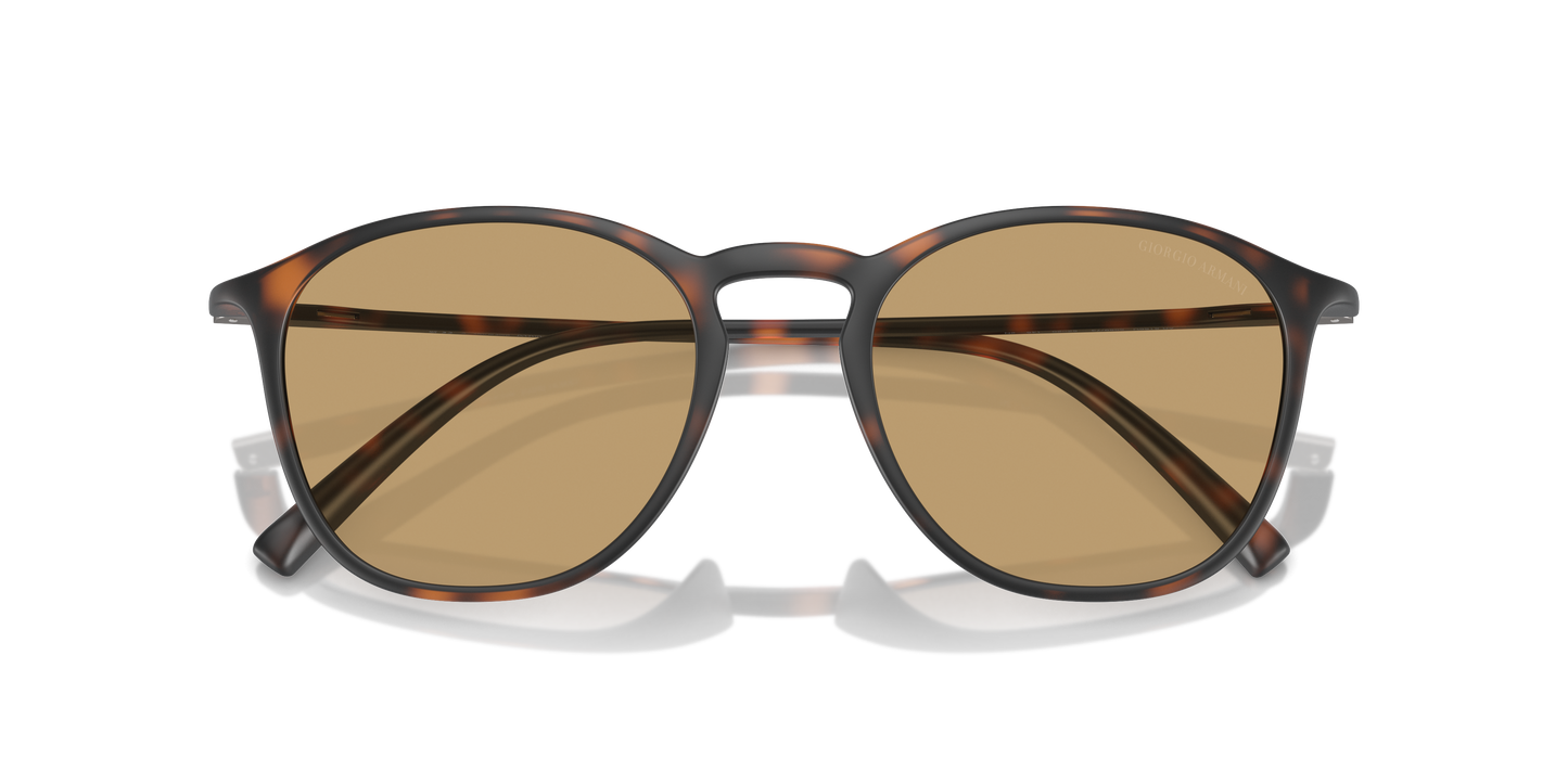 Giorgio Armani Sunglasses AR8186U 508973