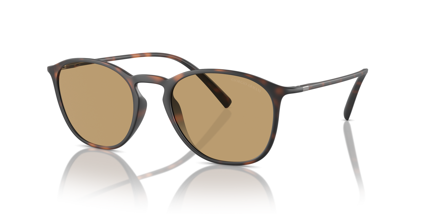 Giorgio Armani Sunglasses AR8186U 508973