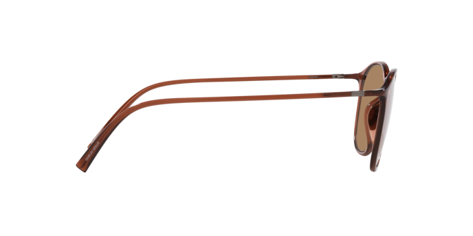 Giorgio Armani Sunglasses AR8186U 6004M4