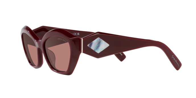 Giorgio Armani Sunglasses AR8187U 599430