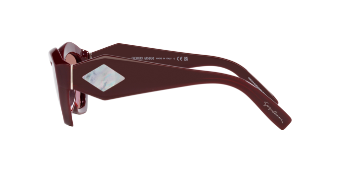 Giorgio Armani Sunglasses AR8187U 599430