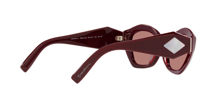 Giorgio Armani Sunglasses AR8187U 599430